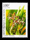 Ansellia africana, African Orchids serie, circa 1995