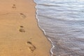 Ansparent sea and washes away the traces of bare feet on the wet sand Royalty Free Stock Photo