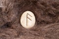 Ansuz Nordic stone rune on animal fur. Letter Aesc of the Viking alphabet Royalty Free Stock Photo