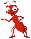Ant Royalty Free Stock Photo