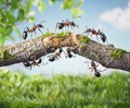 Ant action standing. Ant bridge unity team, Concept team work together