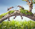 Ant action standing. Ant bridge unity team, Concept team work together