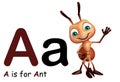 Ant with alphabate