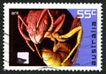 Ant Australian Postage Stamp