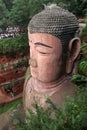 Ant Buddha in Leshan, Sichuan, China Royalty Free Stock Photo