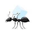 Ant carrying food isolated on white background. Bug carrying cube of sugar and walking to the anthill Royalty Free Stock Photo