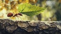 Ant carrying leaf on tree bark, macro view, teamwork, nature, wildlife Royalty Free Stock Photo