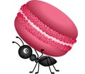 Ant Carrying a Macaroon