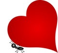 Ant carrying red heart Royalty Free Stock Photo