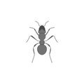 ant colored outline icon. One of the collection icons for websites, web design, mobile app Royalty Free Stock Photo