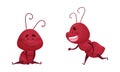 Ant doing various actions set. Happy insects cartoon characters activity vector illustration