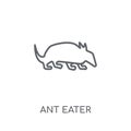 Ant eater linear icon. Modern outline Ant eater logo concept on