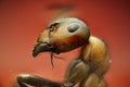 Ant in extreme macro Royalty Free Stock Photo