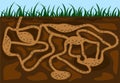 Ant family moving in tunnels anthill. Home of insects which life into earth. Vector cartoon close-up illustration