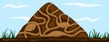 Ant family moving in tunnels anthill. Home of insects which life into hill. Vector cartoon close-up illustration