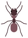 Ant flat icon. Wild fauna. Small insect