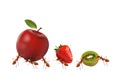 Ant and fruit on white Royalty Free Stock Photo