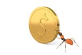 An ant with gold coins.3D illustration. Royalty Free Stock Photo