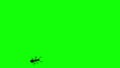 Ant on green screen, CG animated silhouette, seamless loop