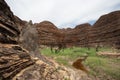 Ant Hills on Beehive Dome Formations, Bungle Bungles