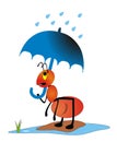 Ant Holding An Umbrella