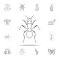 ant icon. Detailed set of insects line illustrations. Premium quality graphic design icon. One of the collection icons for website