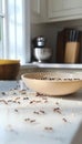 Ant Infestation in Kitchen Trails of Ants on Countertop with Crumbs and Lack of Cleanliness Royalty Free Stock Photo