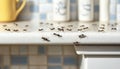 Ant Infestation Problem, Pest Control Needed Line Of Ants Crawl Across Kitchen Countertop Royalty Free Stock Photo