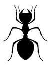 ant insects wildlife animals vector illustration