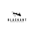 ant logo vector illustration design, black ant Royalty Free Stock Photo