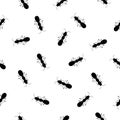 Ant monochromic pattern vector illustration. Black ants on light background Royalty Free Stock Photo