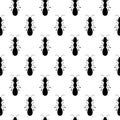 Ant monochromic pattern vector illustration. Black ants on light background Royalty Free Stock Photo