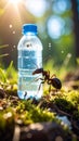 Ant observes a plastic water bottle with a trapped insect on mossy forest ground in bright sunlight Royalty Free Stock Photo