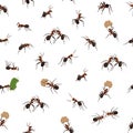 Ant pattern, abstract insects. Realistic isolated elements, summer nature animals, Garden termites silhouette wallpaper