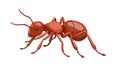 Ant Pest Insect, Symbolizing Perseverance and Colony Life, vector design Generative AI Royalty Free Stock Photo