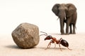 An ant pushes a rock with an elephant in the background. Space for text. Royalty Free Stock Photo