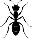Ant Silhouette Black and White Illustration. Vector image. Royalty Free Stock Photo
