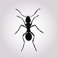 Ant silhouette vector. Insect in black and white concept.Vector illustration Royalty Free Stock Photo