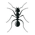 Ant silhouette vector style Royalty Free Stock Photo