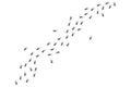 Ant trail, walking group of black insects. Vector illustration of line of worker ants marching in search of food. Curve