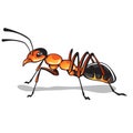 Ant vector art Royalty Free Stock Photo