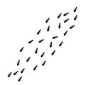 Ant vector trail marching illustration. A line of worker ants marching in search of food. Royalty Free Stock Photo