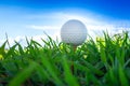 Close up the golf ball on tee pegs ready to play with sky background Royalty Free Stock Photo