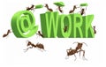 Ant at work busy doing the job occupied Royalty Free Stock Photo