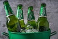 Antalya, Turkey - April 4, 2024: Carlsberg Beer bottles in bucket with ice