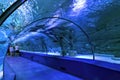 People enjoy the underwater view of the aquarium Antalya. The aquarium is the longest in the