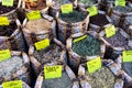 ANTALYA, TURKEY - NOVEMBER 03, 2021: Various dried herbs and spices, oriental spices in large colorful bags. Oriental bazaar,