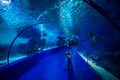 Antalya, Turkey - September 26, 2022: People enjoy the underwater view of the aquarium with longest in the world