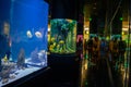 Antalya, Turkey - September 26, 2022: People enjoy the underwater view of the aquarium with longest in the world