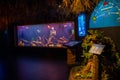 Antalya, Turkey - September 26, 2022: People enjoy the underwater view of the aquarium with longest in the world